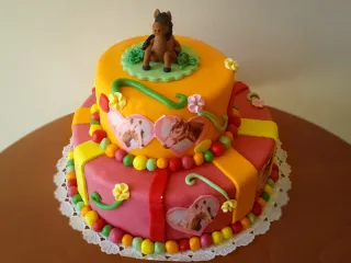 disztorta 016 800 600 s