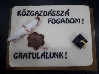Egyedi torta diplomaoszt&oacute;ra