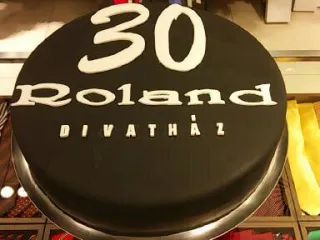 roland 30